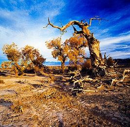 《夺宝奇兵：古老之圈》重玩功能曝光 现场演示欣赏