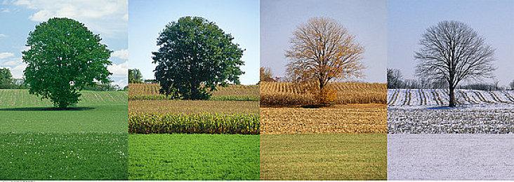 像素沙盒《方块方舟》夏季特卖史低29元，新生物“南方巨兽龙”首曝