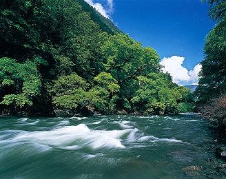 动物园恐怖游戏《Zoochosis》预告 支持简体中文